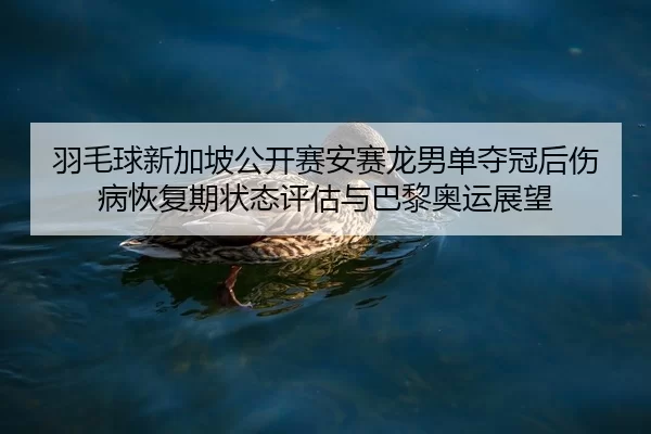 yu-mao-qiu-xin-jia-po-gong-kai-sai-an-sai-long-nan-dan-duo-guan-hou-shang-bing-hui-fu-qi-zhuang-tai-ping-gu-yu-ba-li-ao-2-961.jpg