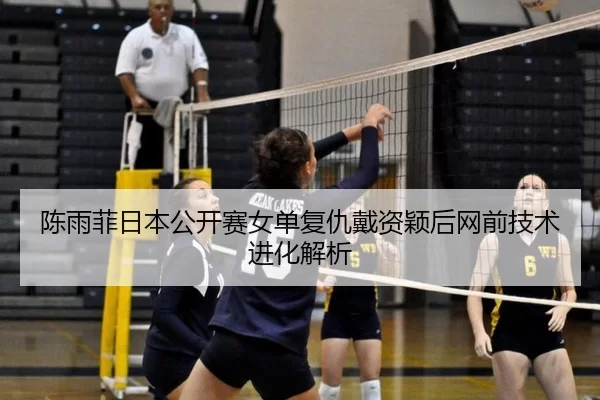 chen-yu-fei-ri-ben-gong-kai-sai-nv-dan-fu-chou-dai-zi-ying-hou-wang-qian-ji-shu-jin-hua-jie-xi-3-391.jpg