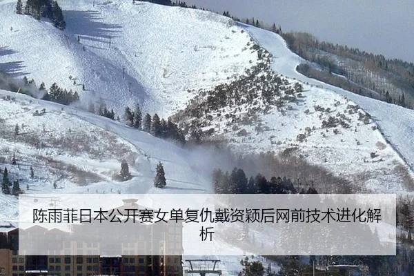 陈雨菲日本公开赛女单复仇戴资颖后网前技术进化解析